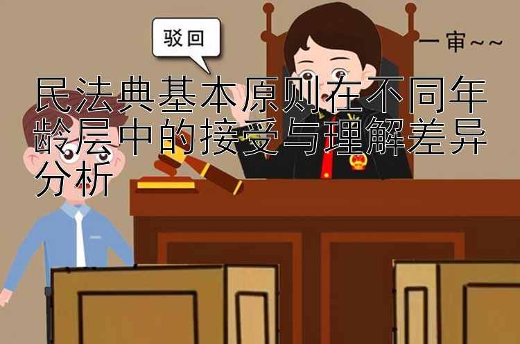 民法典基本原则在不同年龄层中的接受与理解差异分析