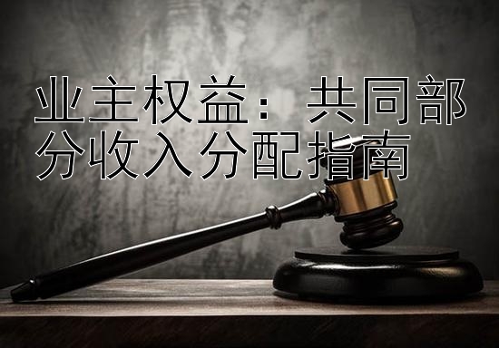 业主权益：共同部分收入分配指南