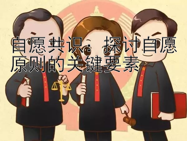 自愿共识：探讨自愿原则的关键要素