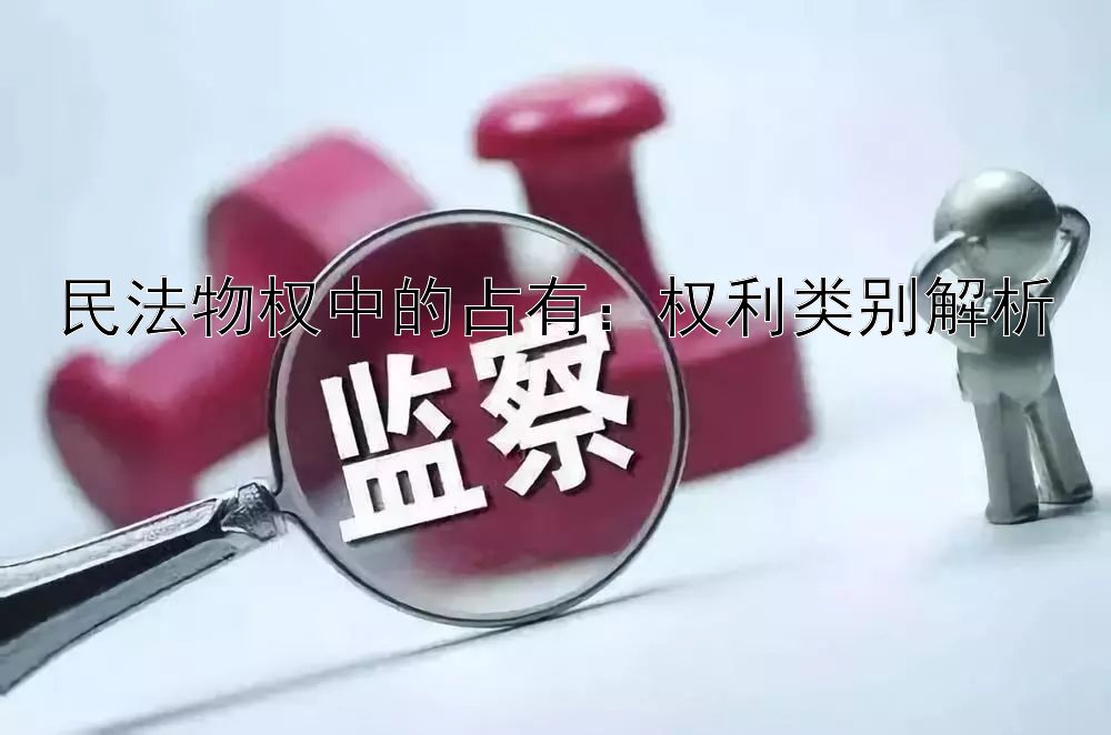 民法物权中的占有：权利类别解析