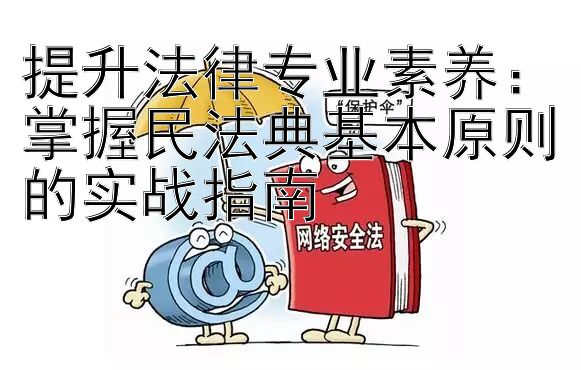 提升法律专业素养：掌握民法典基本原则的实战指南