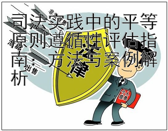 司法实践中的平等原则遵循性评估指南：方法与案例解析