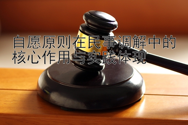 自愿原则在民事调解中的核心作用与实践体现