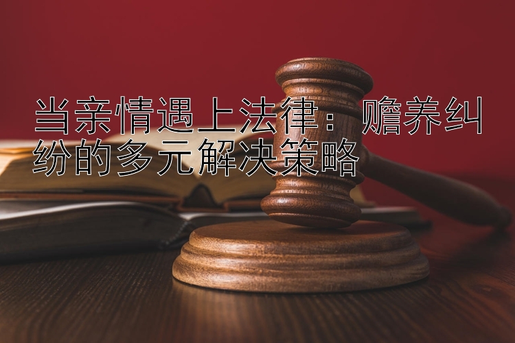 当亲情遇上法律：赡养纠纷的多元解决策略