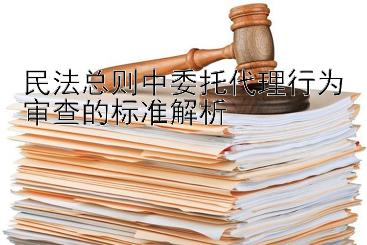 民法总则中委托代理行为审查的标准解析