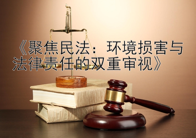 《聚焦民法：环境损害与法律责任的双重审视》