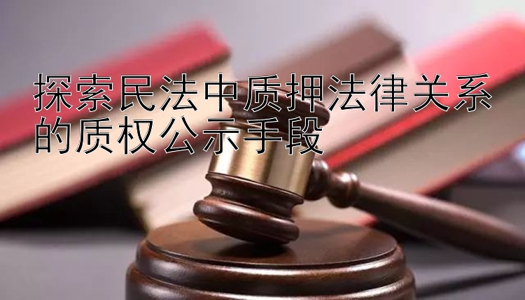 探索民法中质押法律关系的质权公示手段