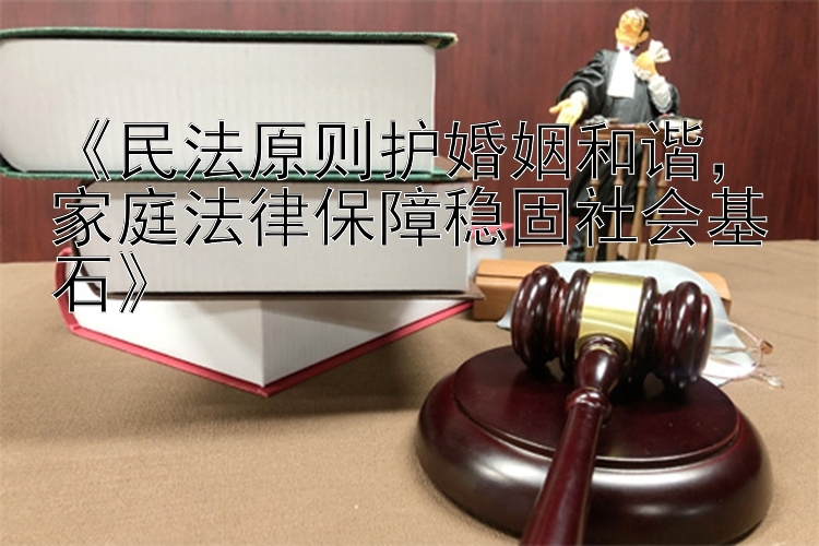 《民法原则护婚姻和谐，家庭法律保障稳固社会基石》