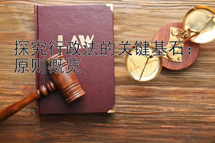 探究行政法的关键基石：原则概览