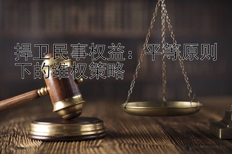 捍卫民事权益：平等原则下的维权策略