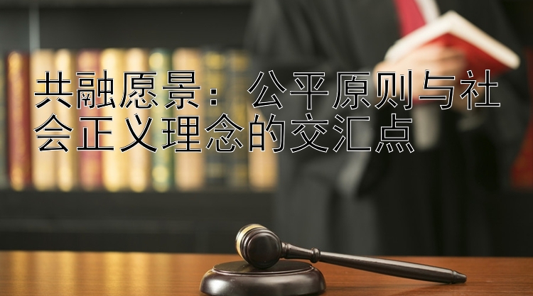 共融愿景：公平原则与社会正义理念的交汇点