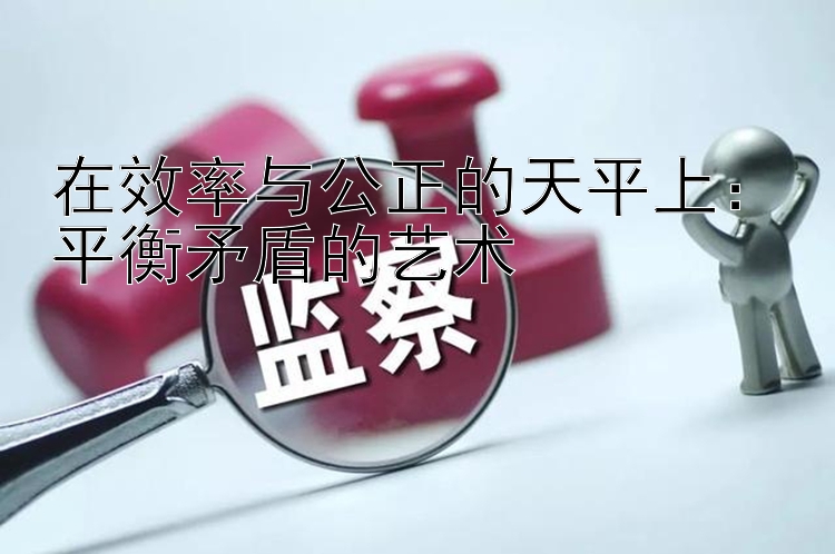 在效率与公正的天平上：平衡矛盾的艺术