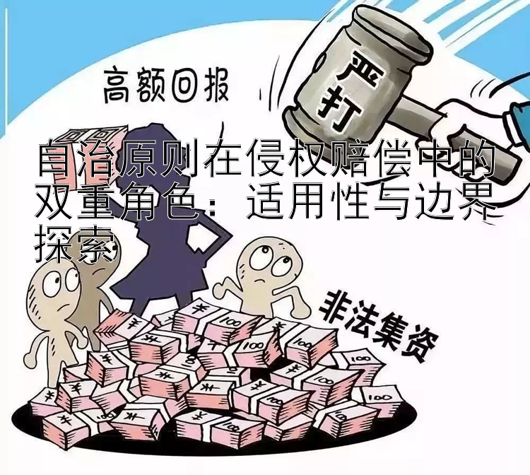 自治原则在侵权赔偿中的双重角色：适用性与边界探索