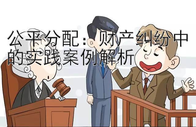 公平分配：财产纠纷中的实践案例解析