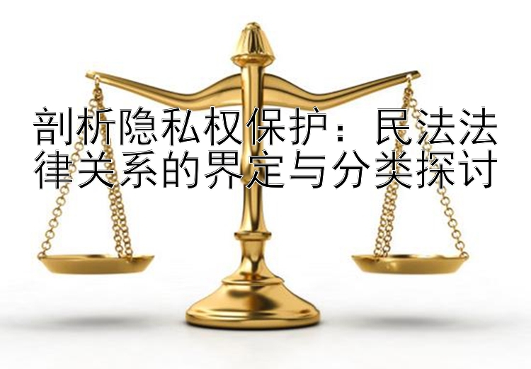 剖析隐私权保护：民法法律关系的界定与分类探讨