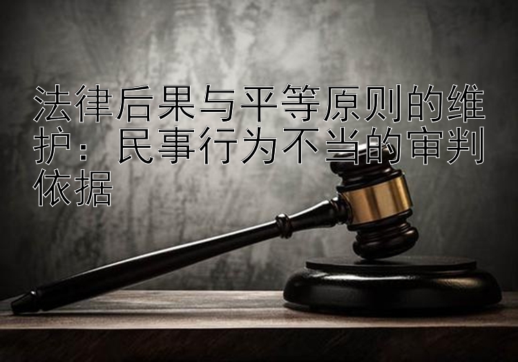 法律后果与平等原则的维护：民事行为不当的审判依据