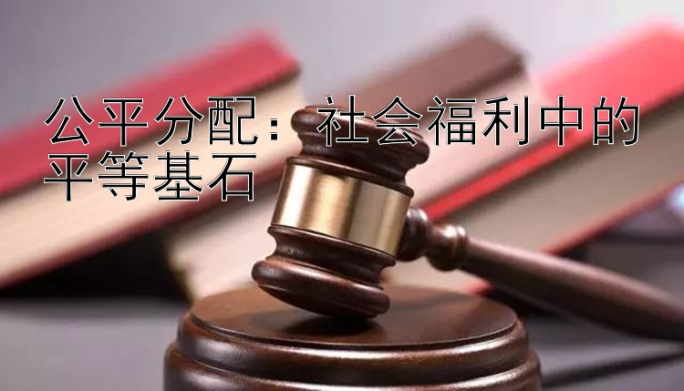 公平分配：社会福利中的平等基石