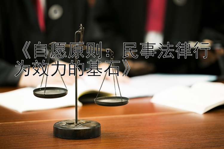 《自愿原则：民事法律行为效力的基石》