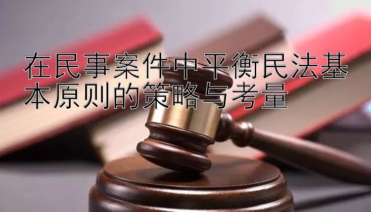 在民事案件中平衡民法基本原则的策略与考量