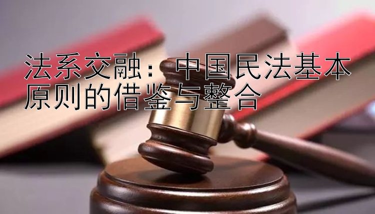 法系交融：中国民法基本原则的借鉴与整合