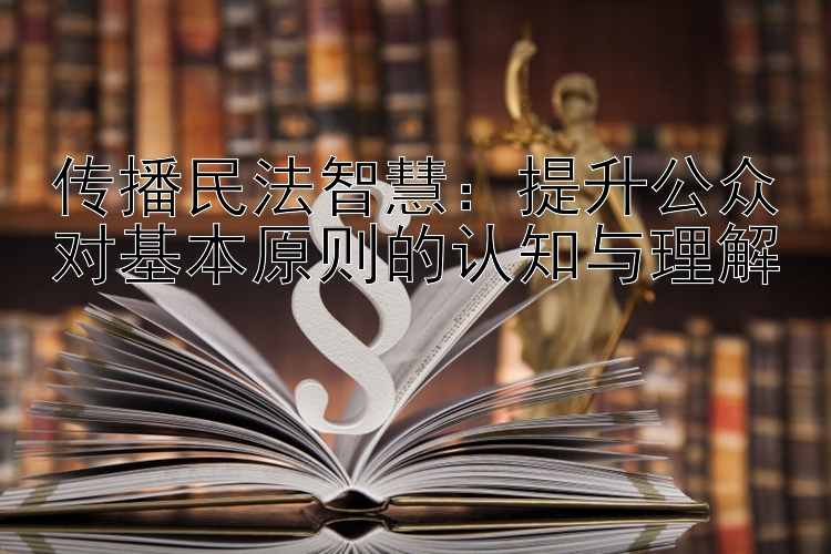 传播民法智慧：提升公众对基本原则的认知与理解