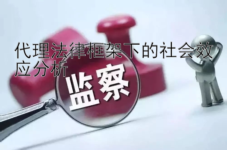 代理法律框架下的社会效应分析