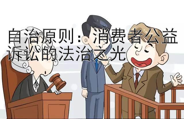 自治原则：消费者公益诉讼的法治之光