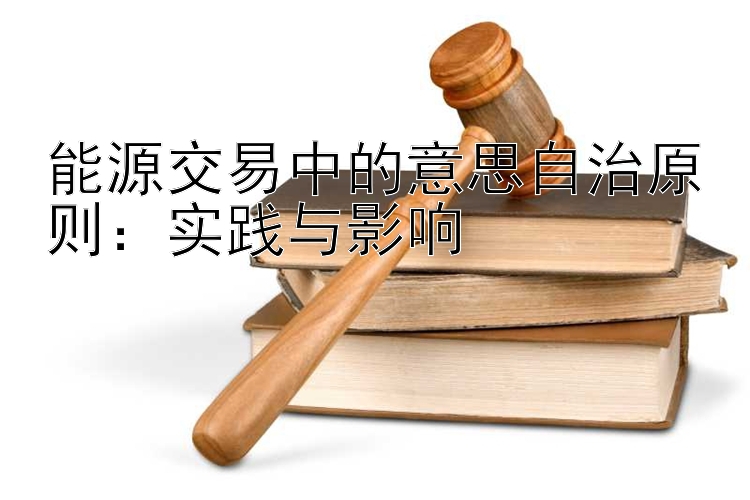 能源交易中的意思自治原则：实践与影响