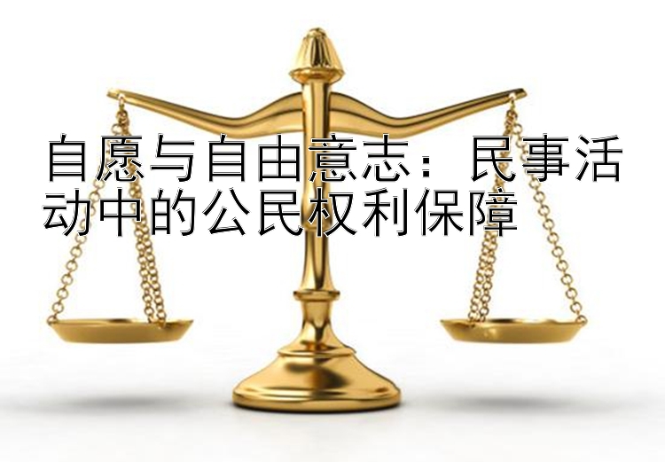 自愿与自由意志：民事活动中的公民权利保障