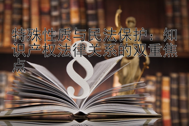 特殊性质与民法保护：知识产权法律关系的双重焦点