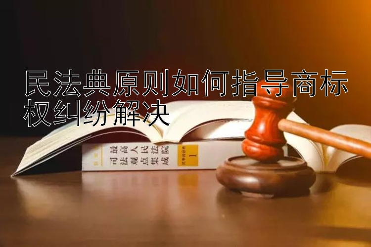 民法典原则如何指导商标权纠纷解决