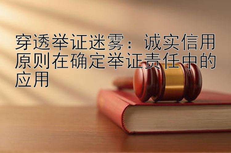 穿透举证迷雾：诚实信用原则在确定举证责任中的应用