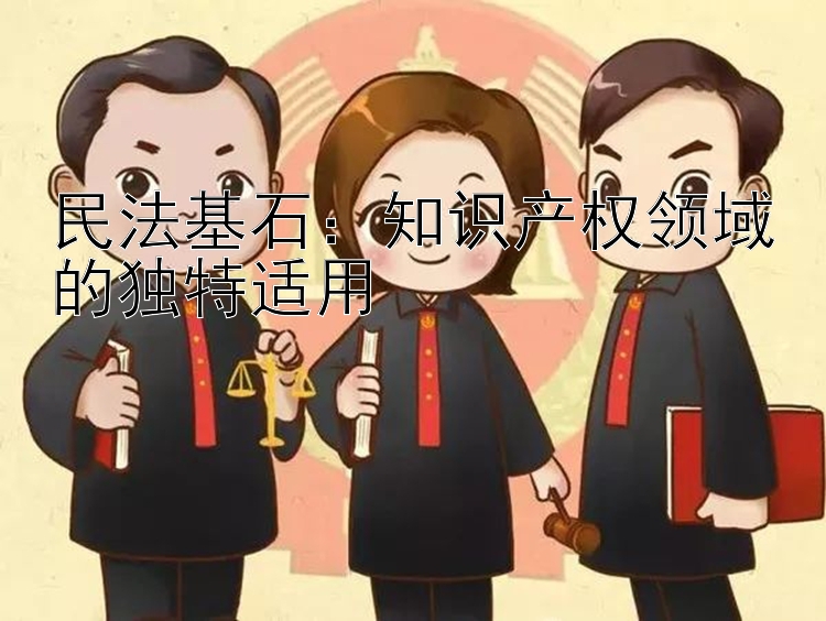 民法基石：知识产权领域的独特适用