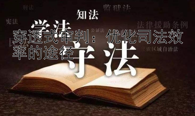 穿透式审判：优化司法效率的途径