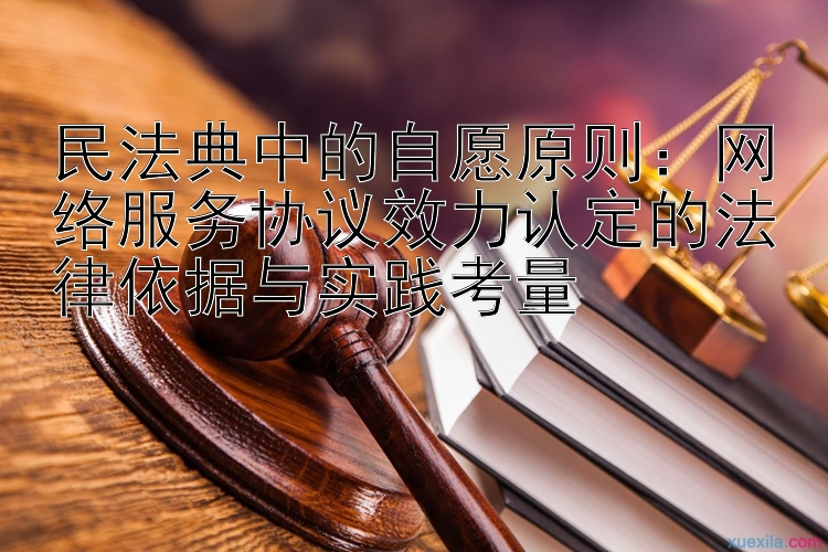 民法典中的自愿原则：网络服务协议效力认定的法律依据与实践考量