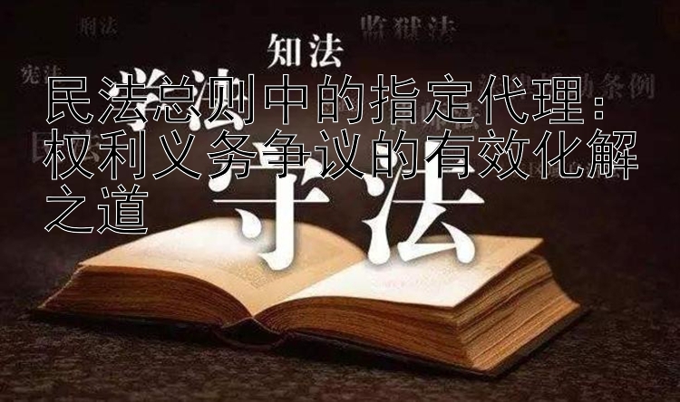 民法总则中的指定代理：权利义务争议的有效化解之道