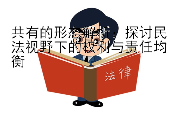 共有的形态解析：探讨民法视野下的权利与责任均衡