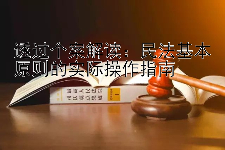 透过个案解读：民法基本原则的实际操作指南