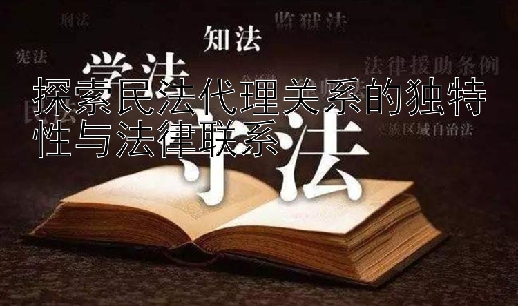 探索民法代理关系的独特性与法律联系