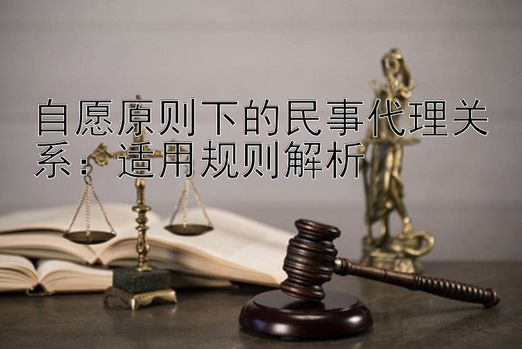 自愿原则下的民事代理关系：适用规则解析