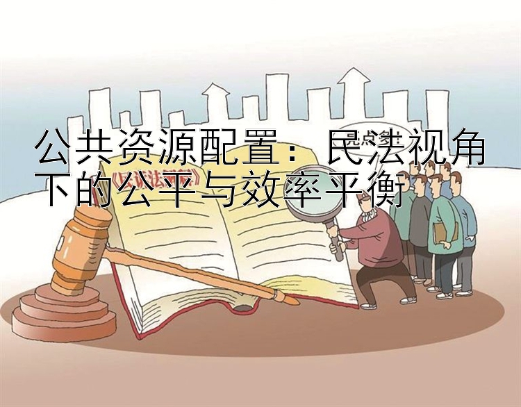 公共资源配置：民法视角下的公平与效率平衡