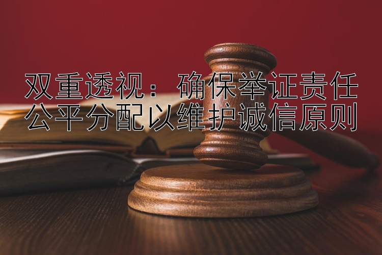 双重透视：确保举证责任公平分配以维护诚信原则