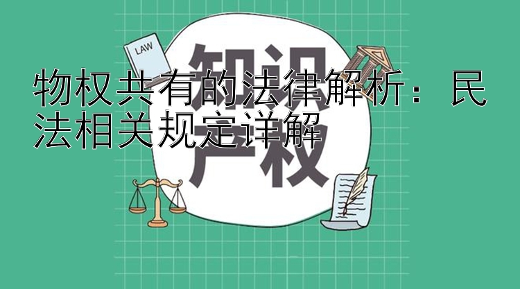 物权共有的法律解析：民法相关规定详解