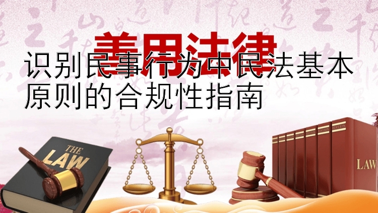 识别民事行为中民法基本原则的合规性指南