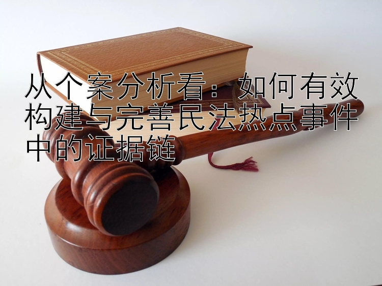 从个案分析看：如何有效构建与完善民法热点事件中的证据链