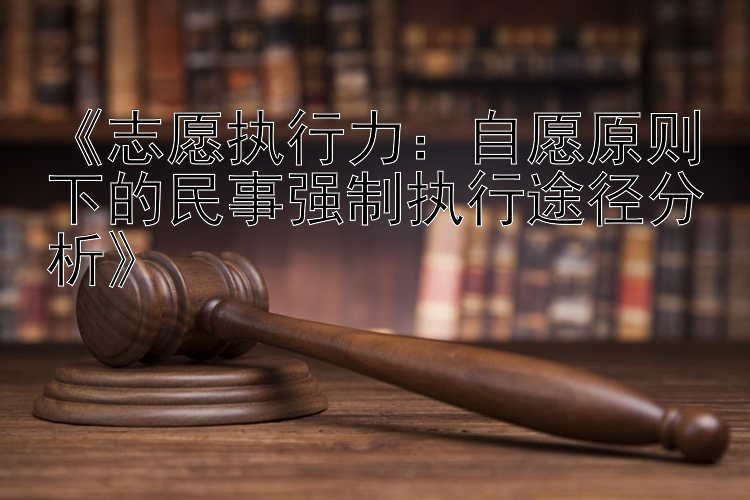 《志愿执行力：自愿原则下的民事强制执行途径分析》