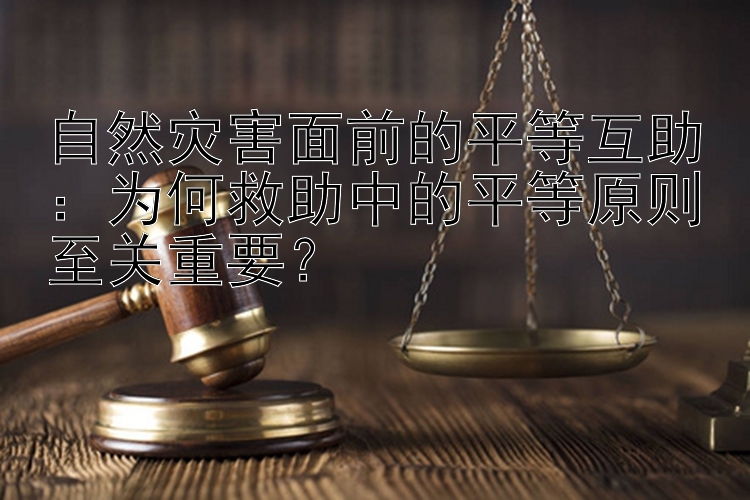 自然灾害面前的平等互助：为何救助中的平等原则至关重要？