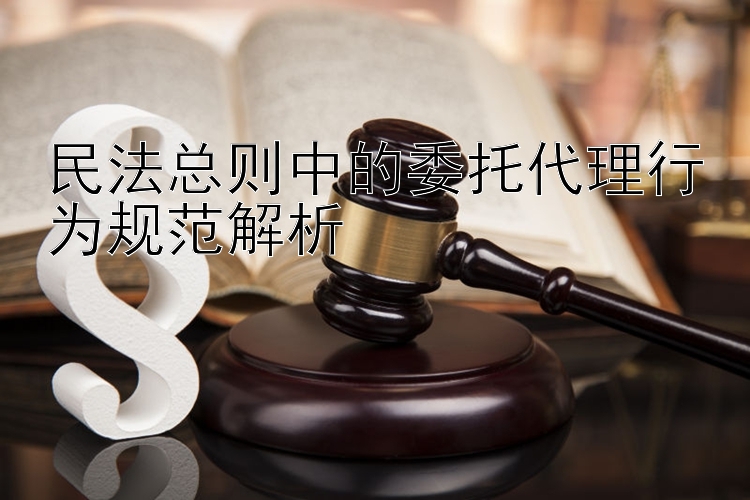 民法总则中的委托代理行为规范解析