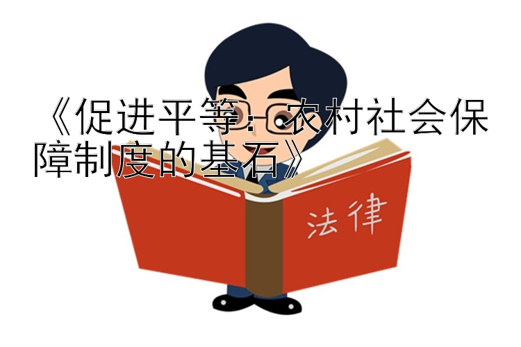 《促进平等：农村社会保障制度的基石》