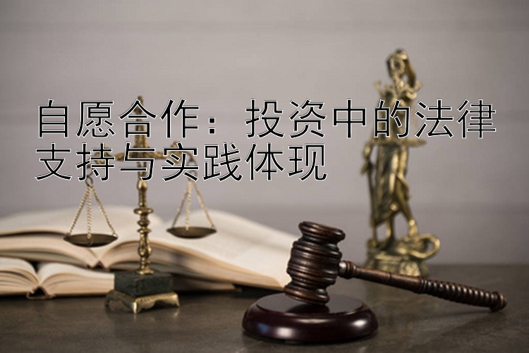 自愿合作：投资中的法律支持与实践体现